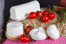 quesos artesanos QUESO FRESCO